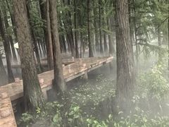 -东湖落雁景区