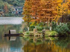 -重庆彩云湖湿地公园
