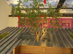 -寻宝记绍兴菜(状元店)