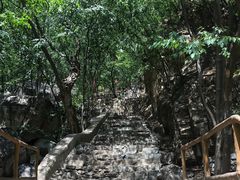 -北京上方山国家森林公园