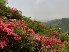 -木兰云雾山