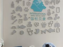 -谐和贝康宠物医院24小时·宠保定点(急重症转诊中心)