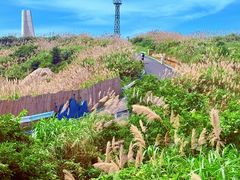 -东极岛景区