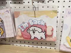 -IPSTAR|潮玩星球(新百店)