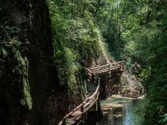 -青城山