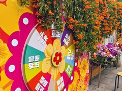 -溪岸路花鸟市场