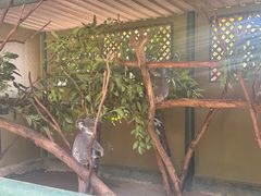 -费瑟代尔野生动物园