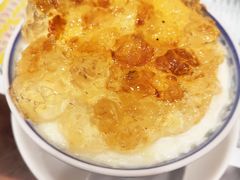 桃胶双皮奶-仁信老铺(华盖路店)