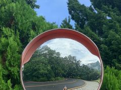 -深圳仙湖植物园