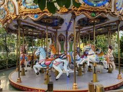 游乐设施-南宫五洲植物乐园