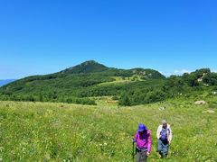 -白草畔自然风景区