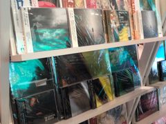 -浣熊唱片店(上海影城店)