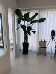 点击看大图 -Hello Lady发型设计