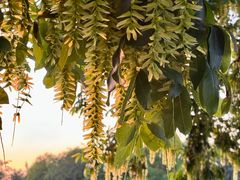 -玄武湖景区-情侣园游乐场