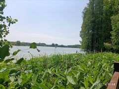 -东湖落雁景区