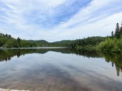 -五营红松林海景区