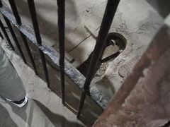 -上海市商贸旅游学校(浦西校区)