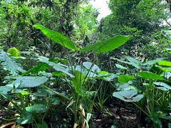 -福建鲤鱼洲酒店