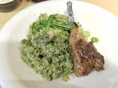 青酱羊排饭-little hlk 小饿龙(浦东嘉里城店)