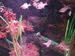 -沈阳海洋探索中心