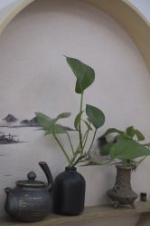 -依灵瑜伽普拉提连锁