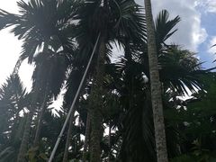 -红色娘子军纪念园