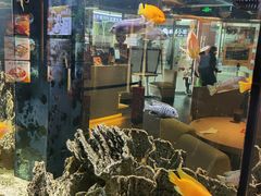 -大家乐(佛山普君店)