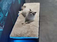 -零纪元VR体验馆·桌游(黄浦店)