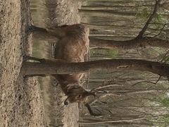 iphone_upload_pic-溱湖国家湿地公园