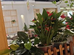 -芭夯兔·兔肉汤锅(新都店)