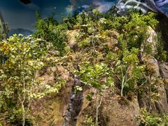 -济南植物园