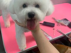 -宠福鑫康馨动物医院·骨科·眼科