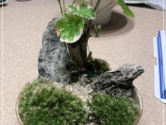 -十二厨·土菜雅院