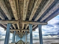 -宝安西湾红树林湿地公园