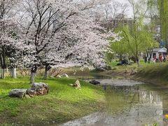 -堤角公园
