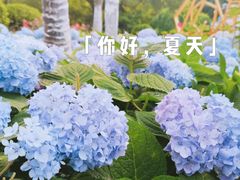 -大关公园