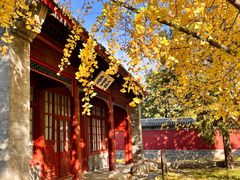 -香山公园