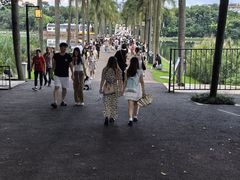 -南宁南湖公园