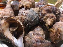 -海鲜e族(马王堆店)