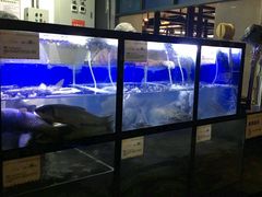 -严厨老坛酸菜鱼(吴江万宝店)