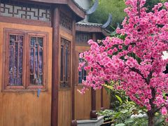 -小隐院子·庭院餐厅(大学城后湖店)