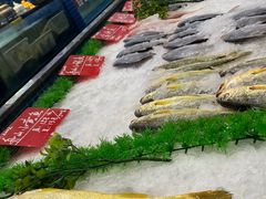 -骏莱海鲜鱼港(五角场店)