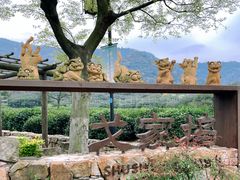 -树山生态村