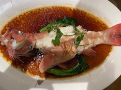 -顺峰(农展馆店)