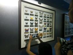 -上海昆虫博物馆