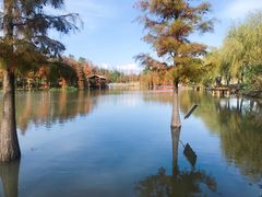 -上海长兴岛郊野公园