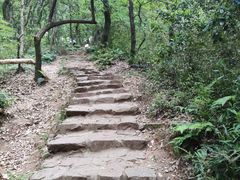 -惠山国家森林公园