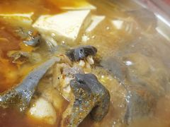 -弘烨 贵州酸汤 鱼火锅(东财店)
