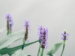 -南京工程学院(江宁校区)