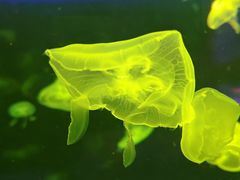 -鄂尔多斯野生动物园